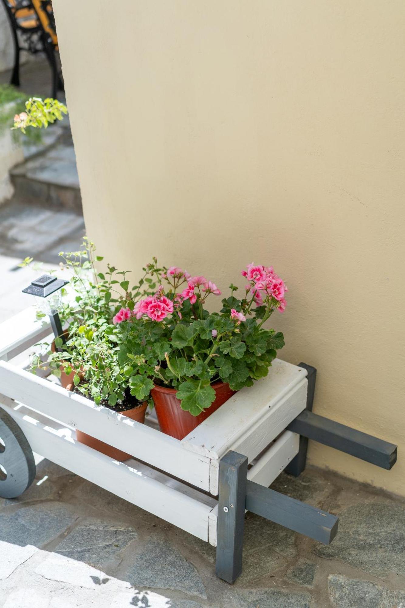 Spacious Home With Yard, Mytilene Lesvos Buitenkant foto