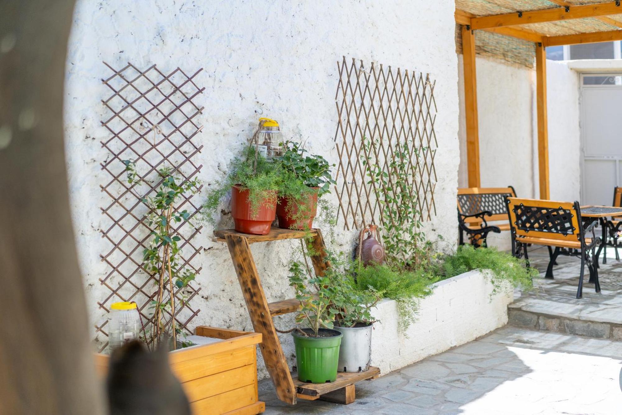 Spacious Home With Yard, Mytilene Lesvos Buitenkant foto